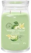 Vanilla Lime, candela in giara grande Yankee Candle