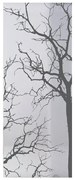 Anta per porta scorrevole Autumn in vetro bianco L 76 x H 215 cm destra