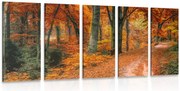 Quadri 5 pezzi – Foresta in autunno
