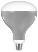 Flos - Lampadina LED 13W (1180lm) R125 2700K E27 Verdeplux