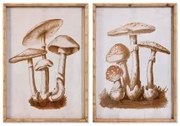 Quadro DKD Home Decor Cristallo 50 x 70 x 2,8 cm 50 x 2,8 x 70 cm Funghi (2 Unità)