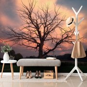 Carta da parati – Albero splendido nel prato