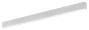 Lampada Lineare LED da Soffitto 42W 120cm Bianca, PHILIPS driver CCT Colore Bianco Variabile CCT