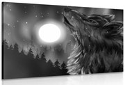 Stampa su tela – Luna dei lupi in bianco e nero