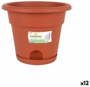 Vaso con Piatto Dem Greentime Marrone ø 22 x 18 cm (12 Unità)