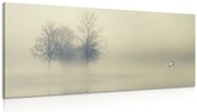 Stampa su tela – Alberi nella nebbia