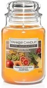 Exotic Fruits, candela in giara grande Yankee Candle