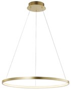 Leuchten Direkt 11524-12 - Lampadario LED a sospensione CIRCLE LED/28,5W/230V