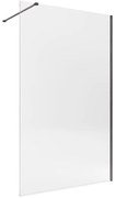 Walk-in single L 120 x H 200 cm, vetro 8 mm vetro senza finitura / trasparente nero