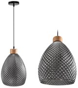 Lampada Da Soffitto Di Vetro Retro Black APP897-1CP