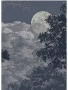 Isidore Leroy Carta da parati panoramica Eclipse Clair Obscur - Panel B