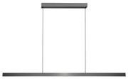 Light Point - Edge Linear S2000 Lampada a Sospensione Titanio LIGHT-POINT