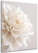 Stampa su tela – Petali bianchi