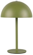 Lampada da tavolo LED verde con paralume in metallo (altezza totale 21 cm) Munoz – Trio