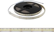 Striscia LED Professional 2835/224 - IP67 - 25W/m - 2.900lm/m- 5m - 24V Colore Bianco Freddo 6.000K