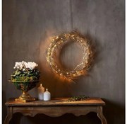 Eglo 411421 - Decorazione natalizia LED FIZZY 50xLED/0,06W/5/230V