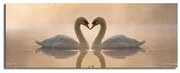 L'immagine su tela Swan Love, 90 x 30 cm - Wallity