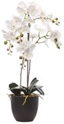 Composizione di piante artificiali senza vaso Phalaenopsis in pvc colore rosa H 40