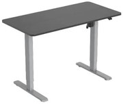 ELETTRIC SIT STAND DESK FRAME