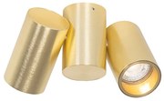 Faretto Smart Ottone 2 Luci Regolabile Incl. 2 Wifi GU10 50mm - Michael