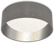 Briloner 3482014 - Lampada LED da soffitto STARRY LED/12W/230V grigio/argento