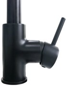 Rubinetto da cucina con doccetta a collo di cigno Lily nero verniciato opaco DELINIA