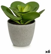 Pianta Decorativa 18 x 18,5 x 18 cm Grigio Verde Plastica (6 Unità)