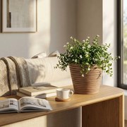 RAQUEL - vaso piccolo