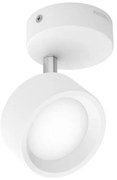 Philips - Faretto LED BRACIA LED/5,5W/230V bianco