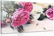 Quadro su tela – Rose in fiore