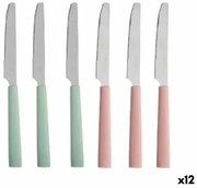 Set di Coltelli Verde Rosa Argentato Acciaio inossidabile Plastica (12 Unità)