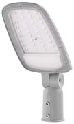 Lampada stradale LED SOLIS LED/30W/230V 3000K IP65