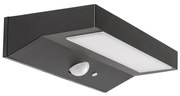 Rabalux 77023 - Luce solare a LED con sensore KORANA LED/6W/3,7V IP44