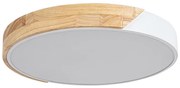 Rabalux 3527 - Plafoniera LED MAPLE LED/24W/230V bianco