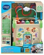 Centro di attività Vtech Baby 80-617105 Marrone Multicolore