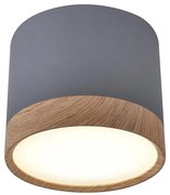 Plafoniera LED TUBA LED/9W/230V