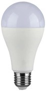 Lampadina LED SAMSUNG CHIP A65 E27/17W/230V 3000K