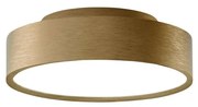 Light Point - Shadow 1 Plafoniera IP54 2700/3000K Brass LIGHT-POINT