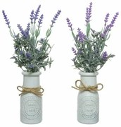 Pianta Decorativa Everlands Vaso Lavanda (Ø 13 x 32 cm)