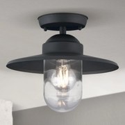 Orion AL 11-1317 - Plafoniera da esterno a montaggio superficiale EDWARD 1xE27/60W/230V IP44 antracite