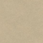 Carta da parati Tahiti Leather  beige scuro, 53 cm x 10.05 m