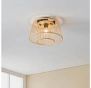 Eglo 43851 - Plafoniera HYKEHAM 1xE27/40W/230V