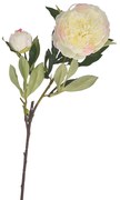 RITUALI DOMESTICI fiore ornamentale peonia bianca h 91 cm