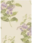 Cole & Son Carta da parati Madras Violet - Olive & Lavender