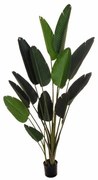 Pianta artificiale senza vaso in pvc colore verde H 180