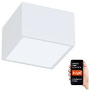 Immax NEO 07072L-15 - Lampada LED dimmerabile CANTO LED/12W/230V + T bianca