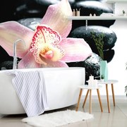 Carta da parati – Orchidea esotica