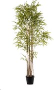 Pianta artificiale Bamboo in vaso di plastica H 180 cm ø 15 cm