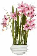 Pianta Decorativa Mica Decorations Cymbidium Poliestere Orchidea 81 x 49 x 40 cm Artificiale