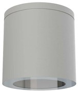 Applique da soffitto IP54 GU10 in Alluminio e Vetro - Grigia Colore del corpo Grigio